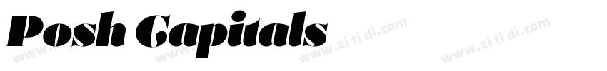 Posh Capitals字体转换